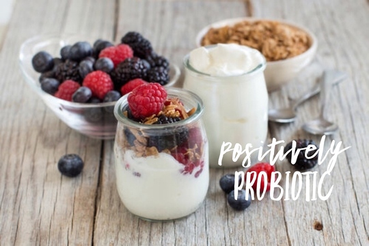 A-Fil Heirloom Mesophilic Yogurt Starter Culture