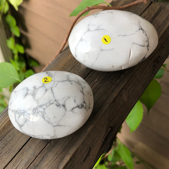 Howlite Palm Stone