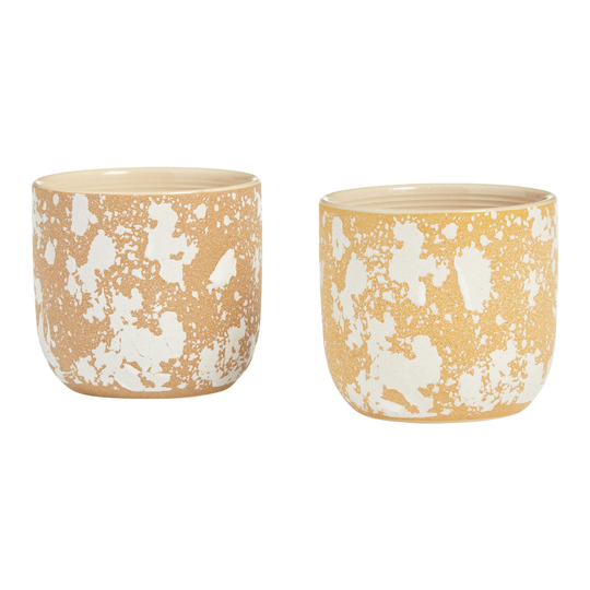Small Textured Dappled Ceramic Planter Collection by World Market