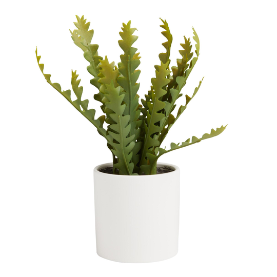 Faux Zigzag Cactus in White Ceramic Pot: Green - Plastic by World Market