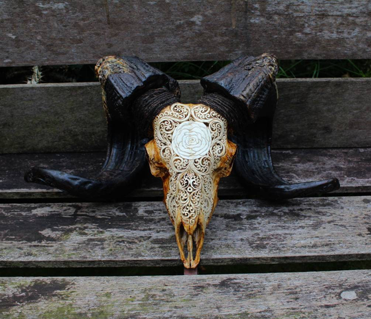 Ram Skull - Carved Sheep Decor, Ram With Horn Carving