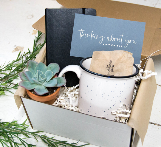 Thinking Of You Gift Box With Leather Journal & Campfire Mug | Succulent Virtual Hug