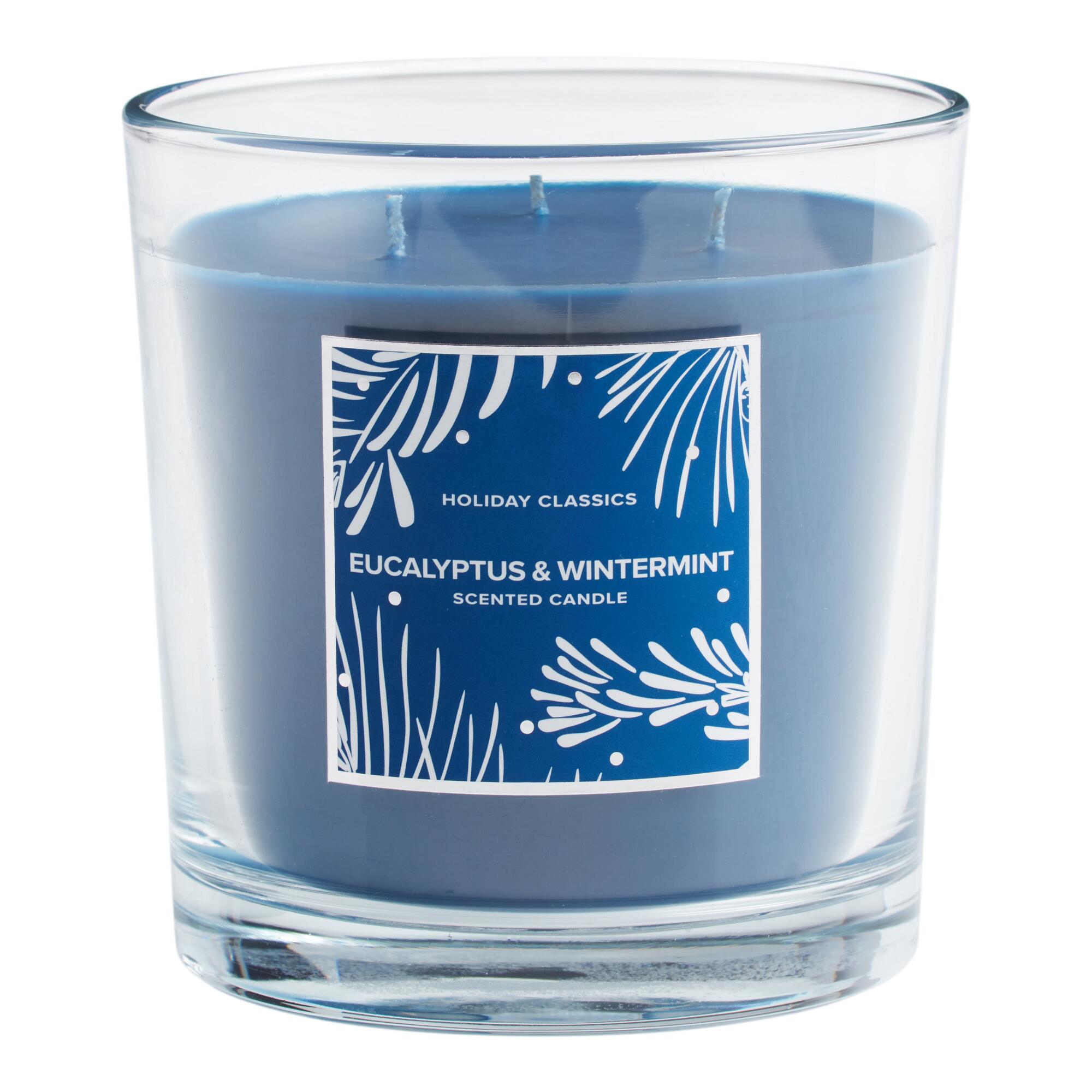 Blue Eucalyptus & Wintermint 3 Wick Scented Candle - Scented Wax by World Market