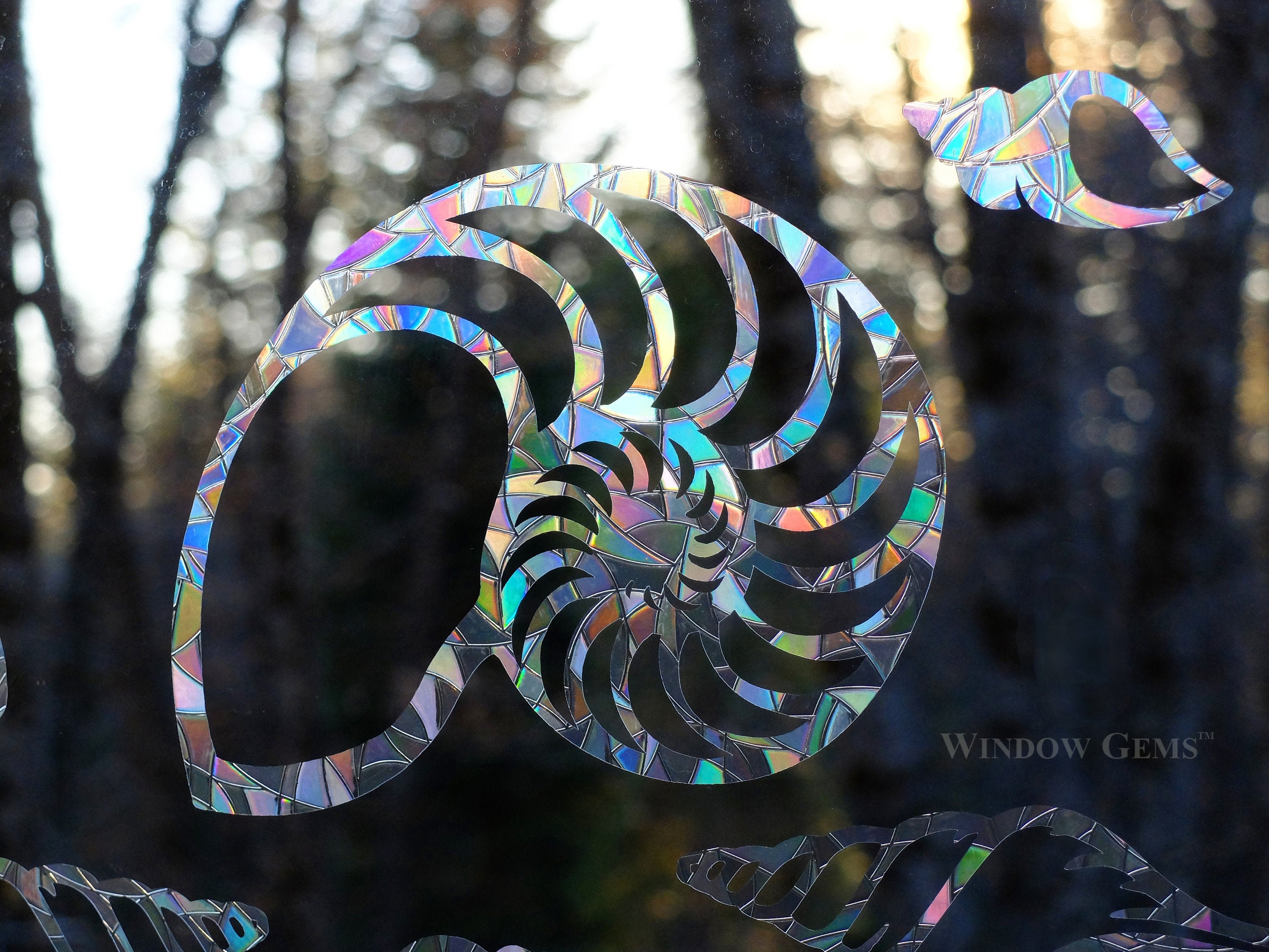 New Shells Window Gems - Static Clings Alert Birds To Windows Prevent Collisions Set Of 10 Rainbow Decals