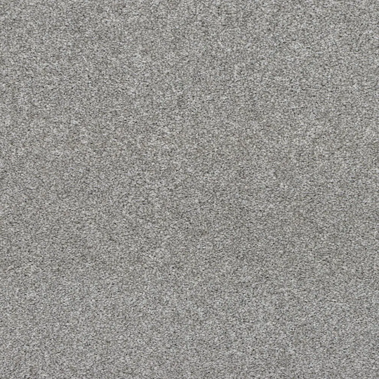 STAINMASTER Vibrant Blend I Cape Cod Textured Carpet Sample (Indoor) Polyester in Gray | STP32-L002-0808