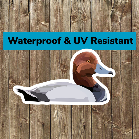 Redhead Duck Sticker Car Truck Boat Decal Tool Box Hard Hat Gift