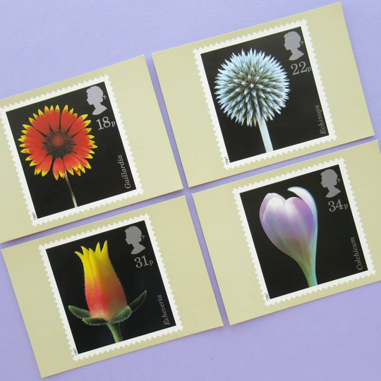 4 Vintage Postcards Flowers, Set Of Unused Postcards, Floral, Flowers, Royal Mail Stamps, Postcard Set, Botanical, Stationery