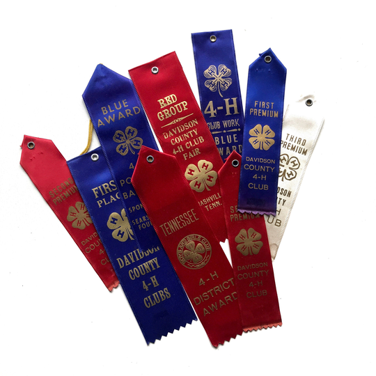 1960S Lot Of 9 4-H Club Tennessee Davidson County Nashville Ribbons, 1965 Fair Award Mid Century Ribbons