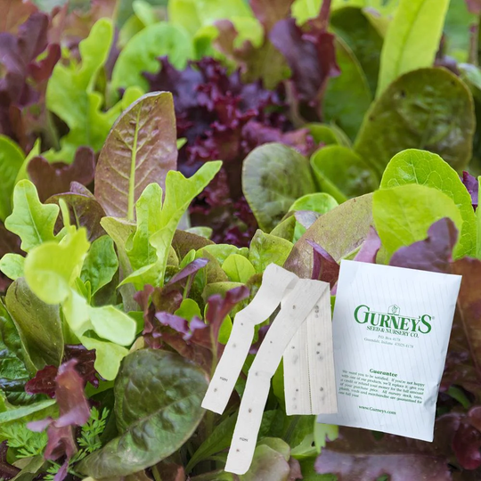Gardens Alive! Gurney's 2-Count 7.5-ft Lettuce Premium Blend Seed Tapes | 39805