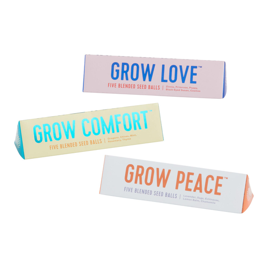 Modern Sprout Bright Side Seed Balls Set of 3: Multi - Paper by World Market