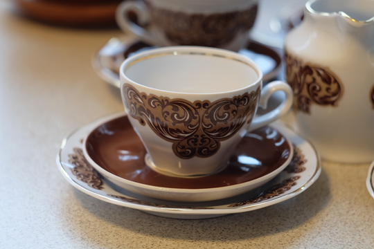 Vintage Riga Porcelain Rpr Cups/Saucers Desert Plates Teapot Sugar Bowl Creamer, Ussr
