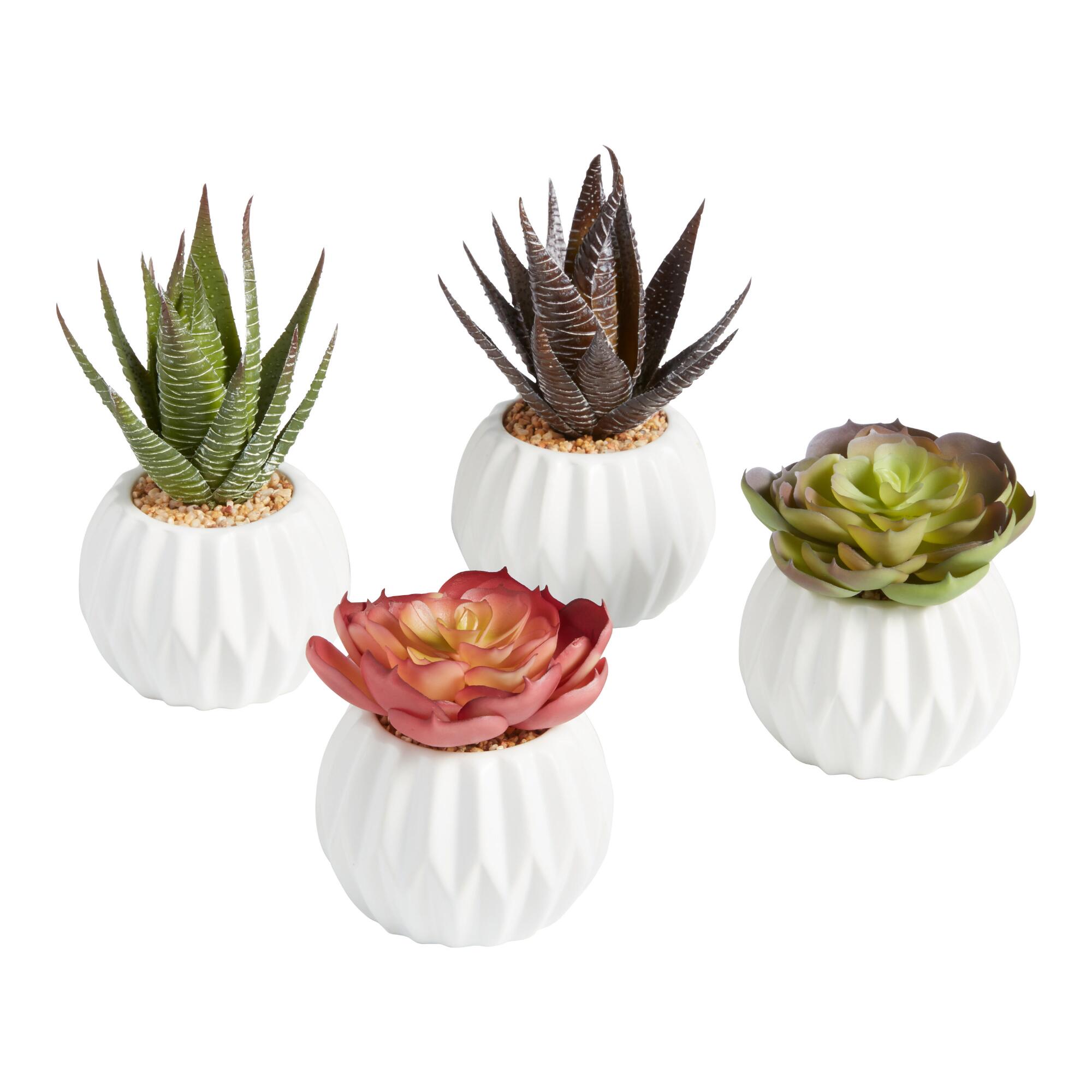 Faux Succulents in Geo Ceramic Pots Set of 4: Multi - Plastic - Small by World Market