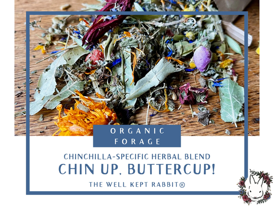 Chin Up, Buttercup | Herbal Forage Crafted Specifically For Chinchillas Supports Overall Health & Well-Being