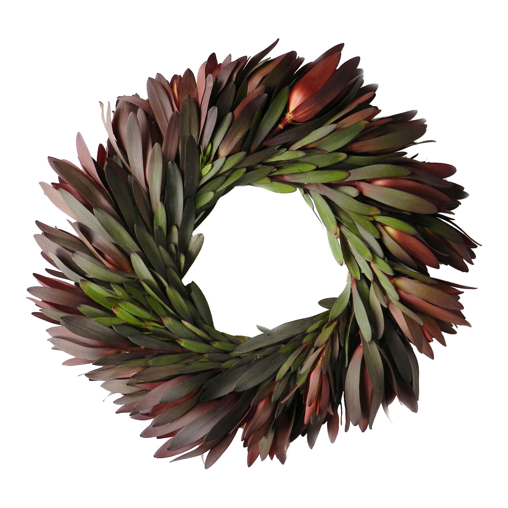Fresh Safari Sunset Leucadendron Wreath by World Market