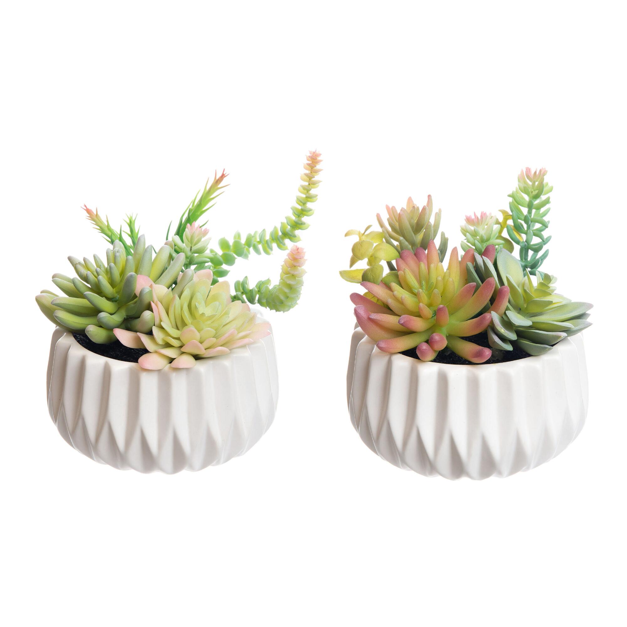 Faux Succulent Arrangements in Geo Ceramic Pots Set of 2: Green/Pink/White/Yellow by World Market