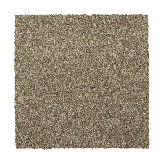 STAINMASTER Vibrant Blend I Cancun Textured Carpet Sample (Indoor) Polyester in Brown | STP32-L003-0808