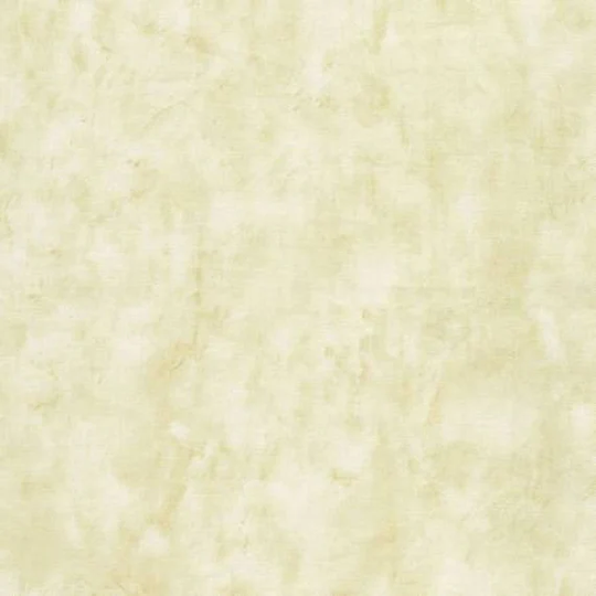 Venetian Texture Cream Fabric By Timeless Treasures Cotton Tonals Blender Colorwall Support Essential Basics Yardage & Fat Quarters