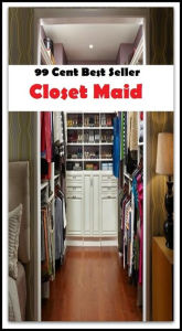 99 Cent Best Seller Closet Maid (Affiliate marketing,Online marketing, Art, Theology, Ethics, Chicken Soup, Thought, Theory, Self Help, clothes, shoes