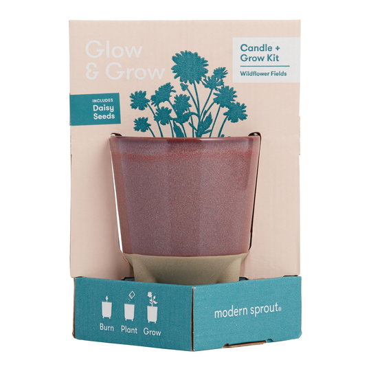 Modern Sprout Daisy Glow and Grow Ceramic Candle & Grow Kit by World Market