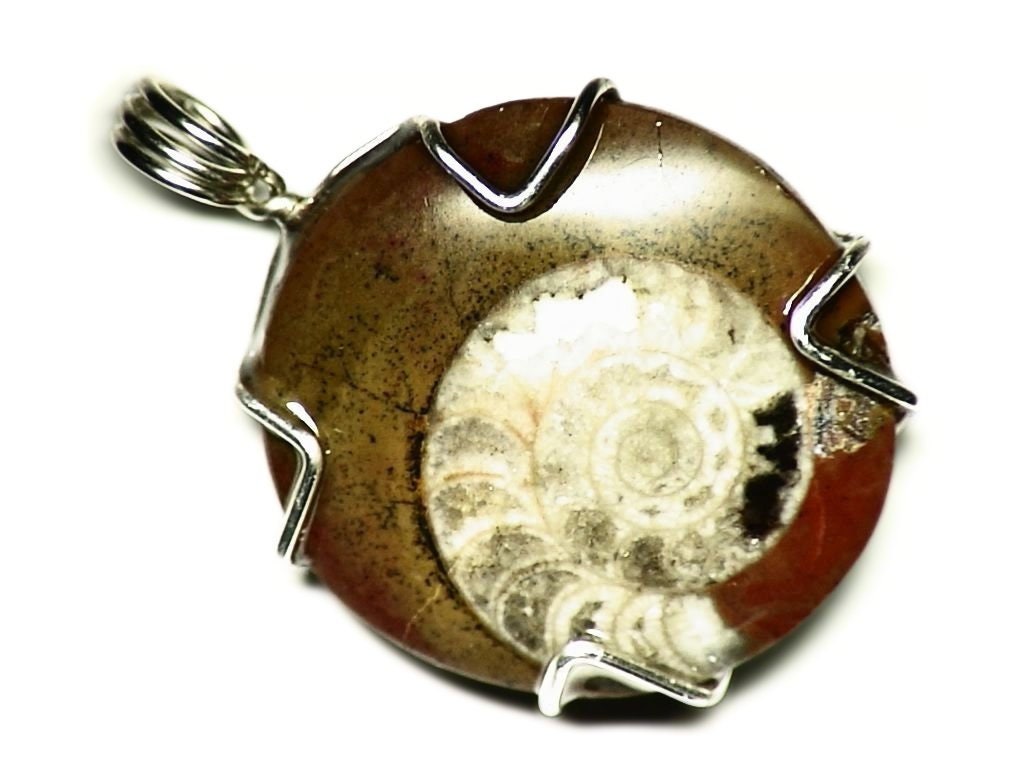 Round Ammonite Pendant, Fossil in Matrix, Real Necklace, Sterling Silver Wire Wrap, Raw Jewelry, Mens Wrapped