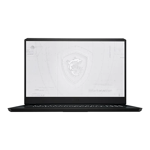 MSI WE76 11UM 459 17.3" Laptop, Intel Core i9, 32GB Memory, 1TB SSD, Windows 10 Pro (WE76459)