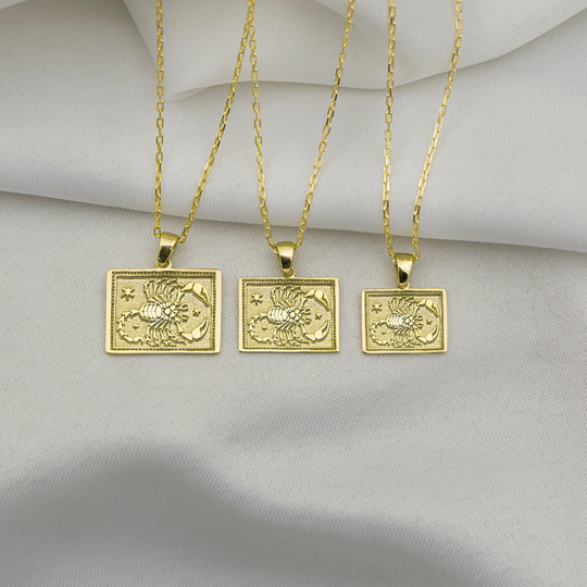 14K Real Gold Scorpio Zodiac Signs Necklace - Dainty Astrology Jewelry Rose Coin Pendant -Birthday Gift Christmas Gifts