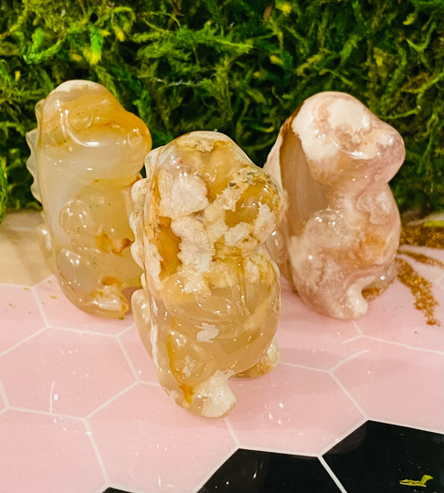 Flower Agate Dinosaur