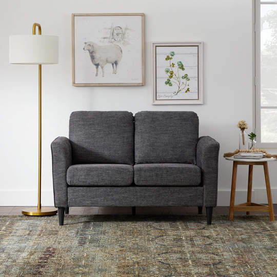Brookside Clara Modern Charcoal Polyester/Blend Loveseat in Gray | BS0009LVS00CH