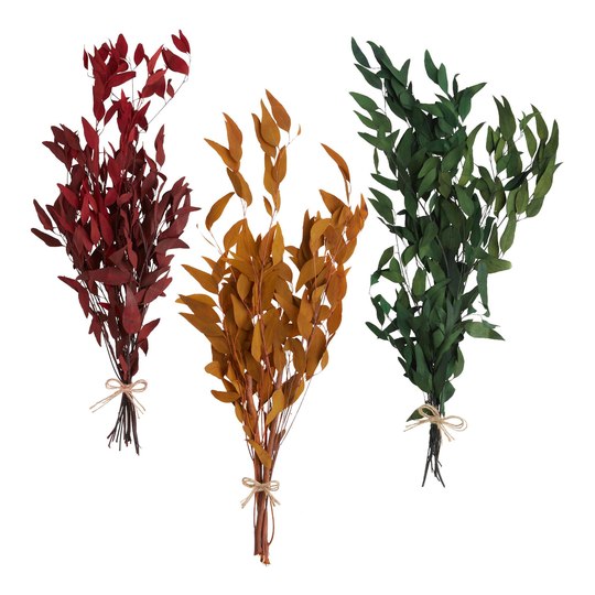Dried Willow Eucalyptus Bunch: Red - Natural Fiber by World Market