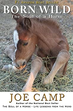 Born Wild - the Soul of a Horse by Joe Camp