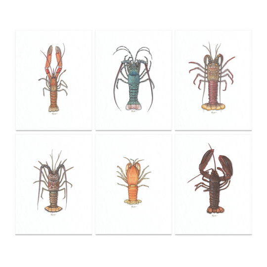 Lobsters Series 1/2/8.5 X 11 Art Print Watercolor Illustration Home Decor Shellfish Lobster Seafood Nature Crustacean