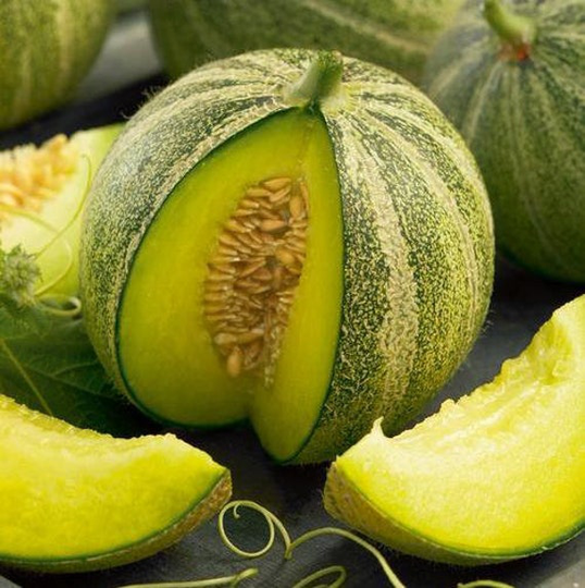 Usa Seller Haogen Melon 25 Seeds Heirloom