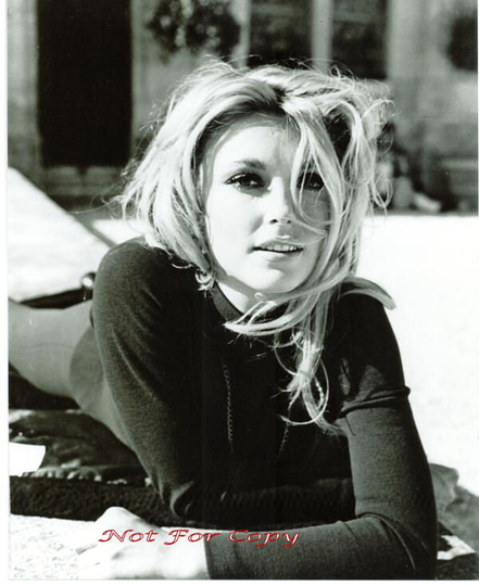 Sharon Tate 8x10 Photo Poster Valley Of The Dolls #n44-2