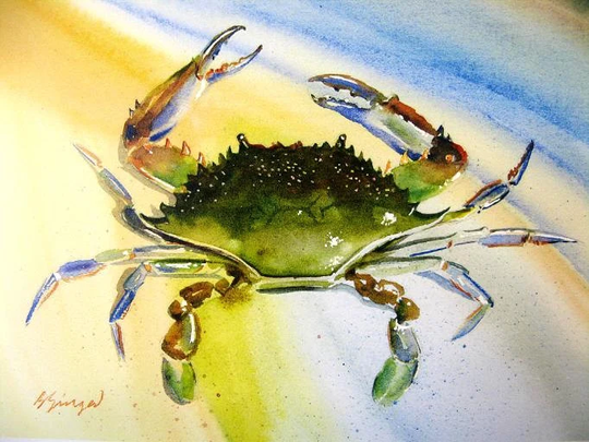 Blue Crab Watercolor Coastal Beach Decor Maryland Delaware New Jersey Chesapeake Bay Art Print 8x10 Or 11x14 By Barry Singer