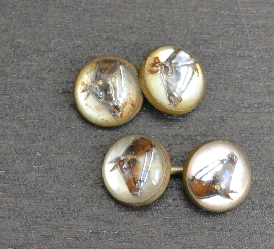 Lovely Edwardian Art Deco Style Equestrian Horse Cufflinks Reverse Painted Essex Crystal/Fbqoja