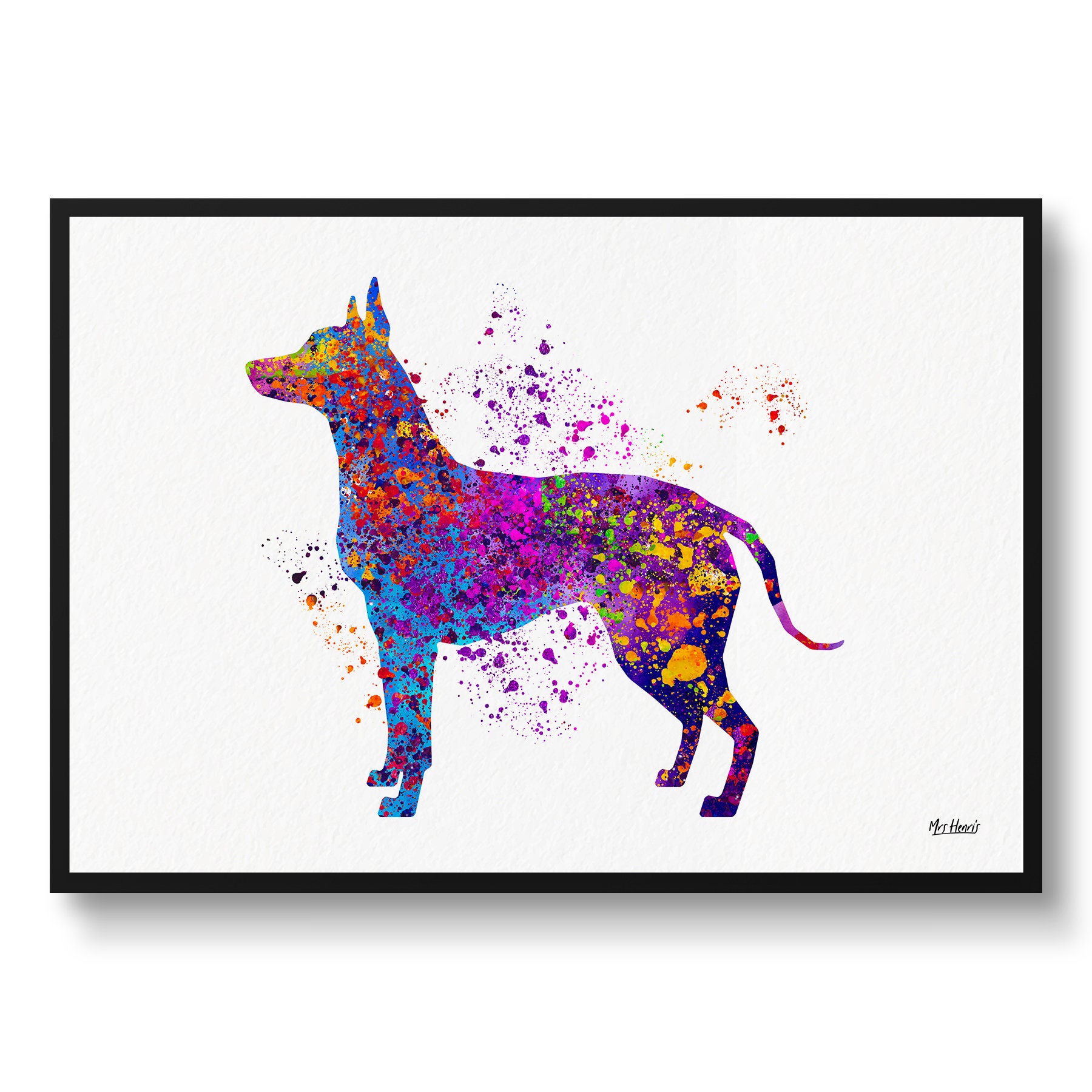 xoloitzcuintli Watercolour Dog Print - Veterinary Decor Gift Illustration Framed & Unframed Wall Art For Lovers & Vets