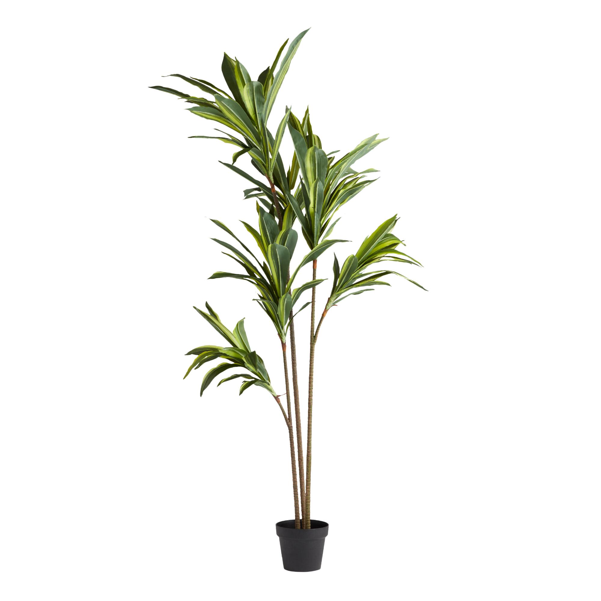 Faux Variegated Dracaena Tree: Green - Plastic by World Market