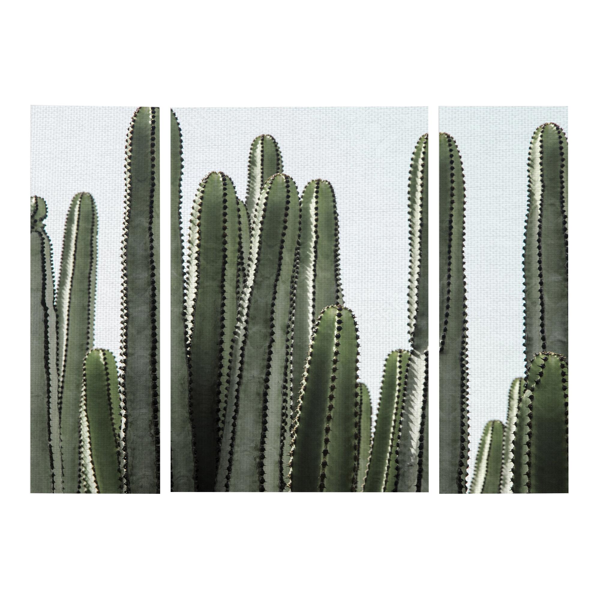 Desert Detail Triptych Canvas Wall Art 3 Piece: Green - Large by World Market
