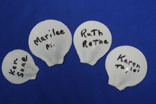 Diy Beach Wedding Dinner Table Name Place Settings White Seashells - Ss-80 Fast Free Shipping