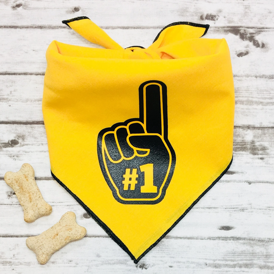 Gold & Black Dog Bandana, Foam Finger, Tie-On Iowa Appalachian Pittsburgh Missouri, Witchita, Boston