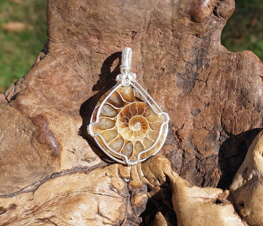 Ammonite Fossil & Sterling Silver Wire Wrapped Pendant ~ Natural Nautilus Fibonacci Sequence 1.5" X 1" Wrap Organic