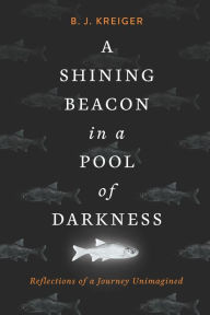 A Shining Beacon in a Pool of Darkness: Reflections of a Journey Unimagined B.J. Kreiger Author