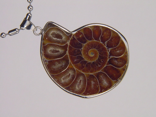 Silver Ammonite Nautiloid Fossil Pendant Necklace Jewelry With 24" Chain 6157K