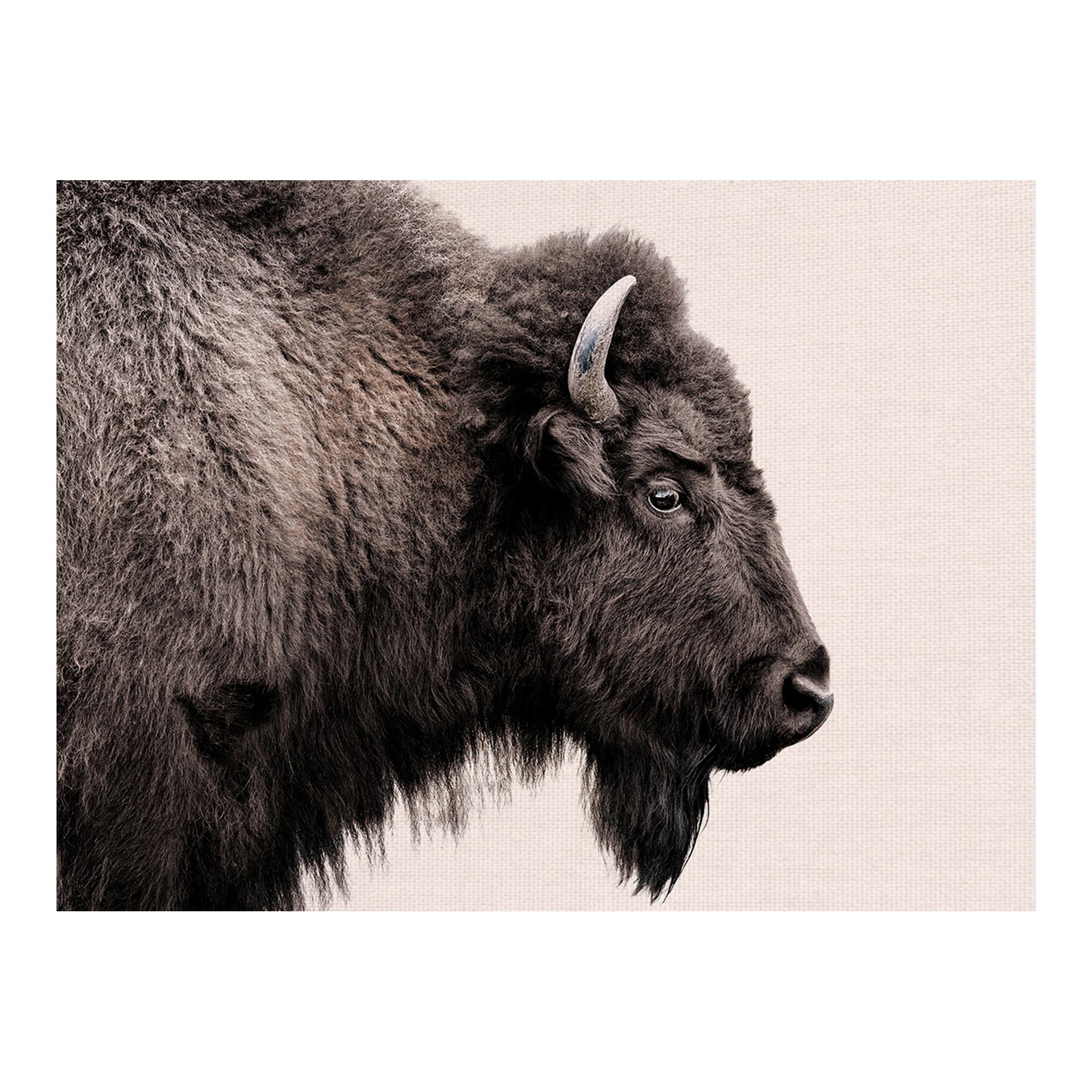 Buffalo Profile Canvas Wall Art: Brown - Large by World Market