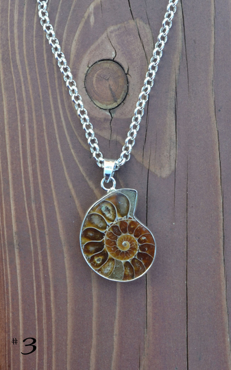 Lovely Ammonite Bailed Pendant, W/Silver Plated Bezel Setting, On 32" Silver Rolo Chain Necklace | 2 Uniques Pieces To Choose From