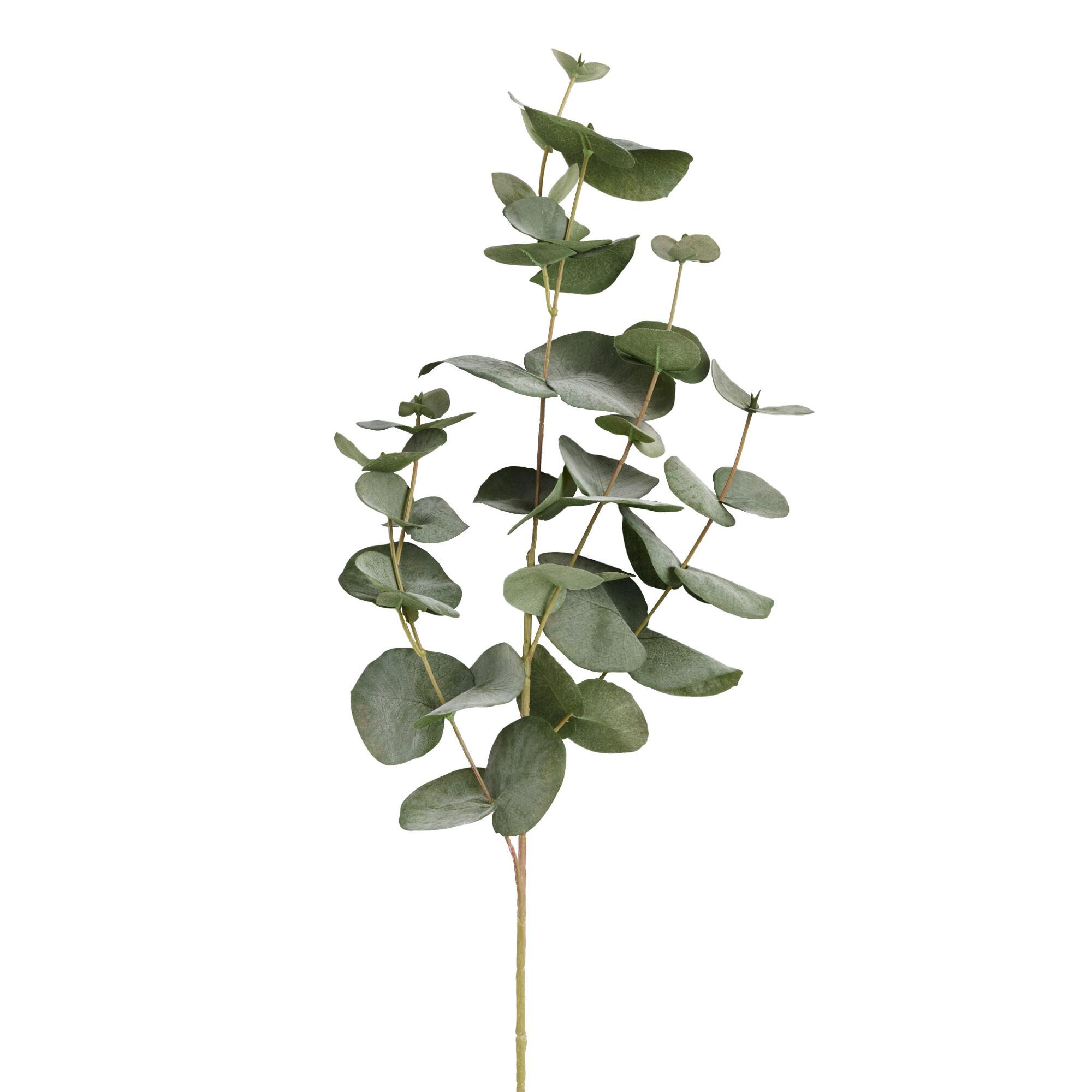 Faux Eucalyptus Spray by World Market