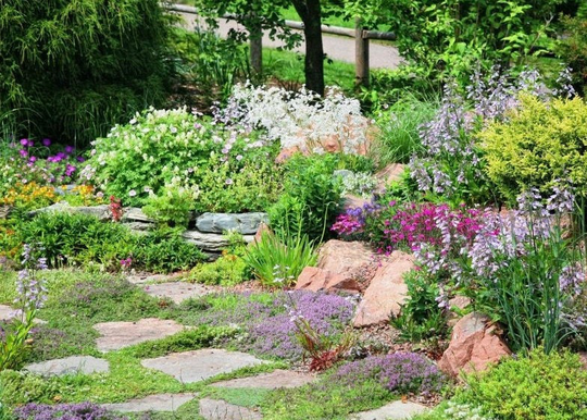 Rock Garden Flowers Blend 1G/300 Organic Seeds