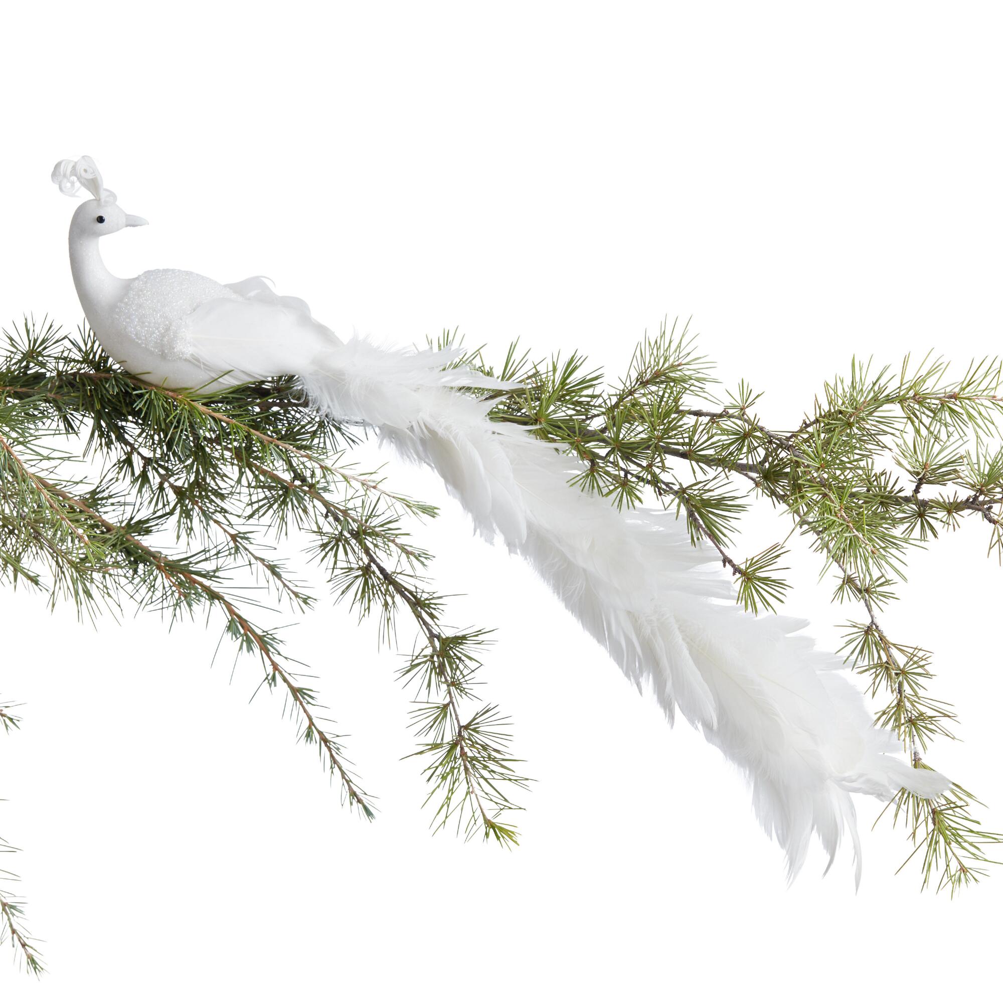 Pier Place White Feather Peacock Clip Ornament by World Market