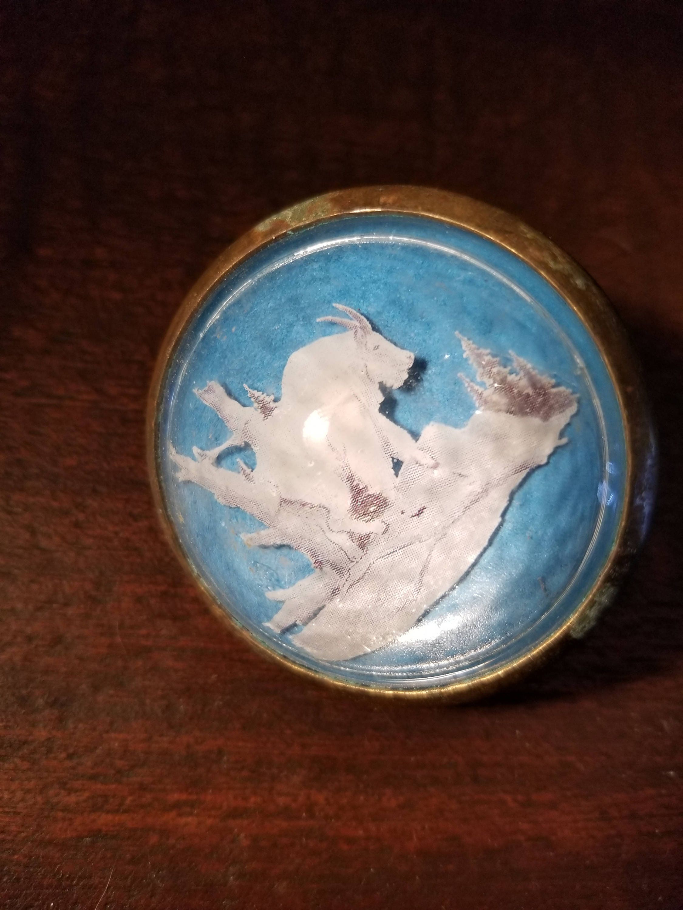 Vintage Single Paperweight Style Horse Bridle Rosette Mountain Goat Ram Domed
