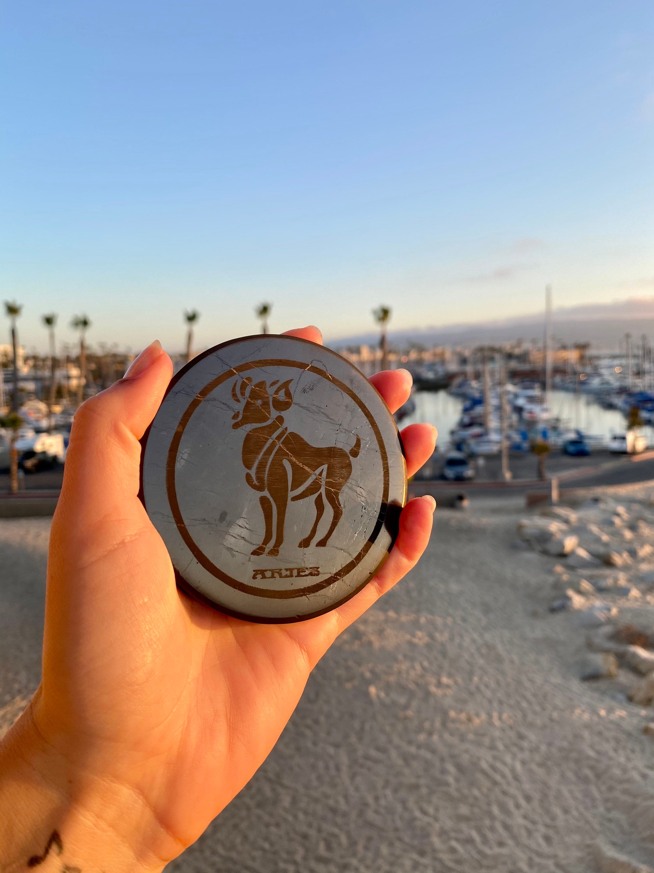 Aries Shunghite Plate | Tile Emf Protection Home Crystal Detox Powerstone Gift